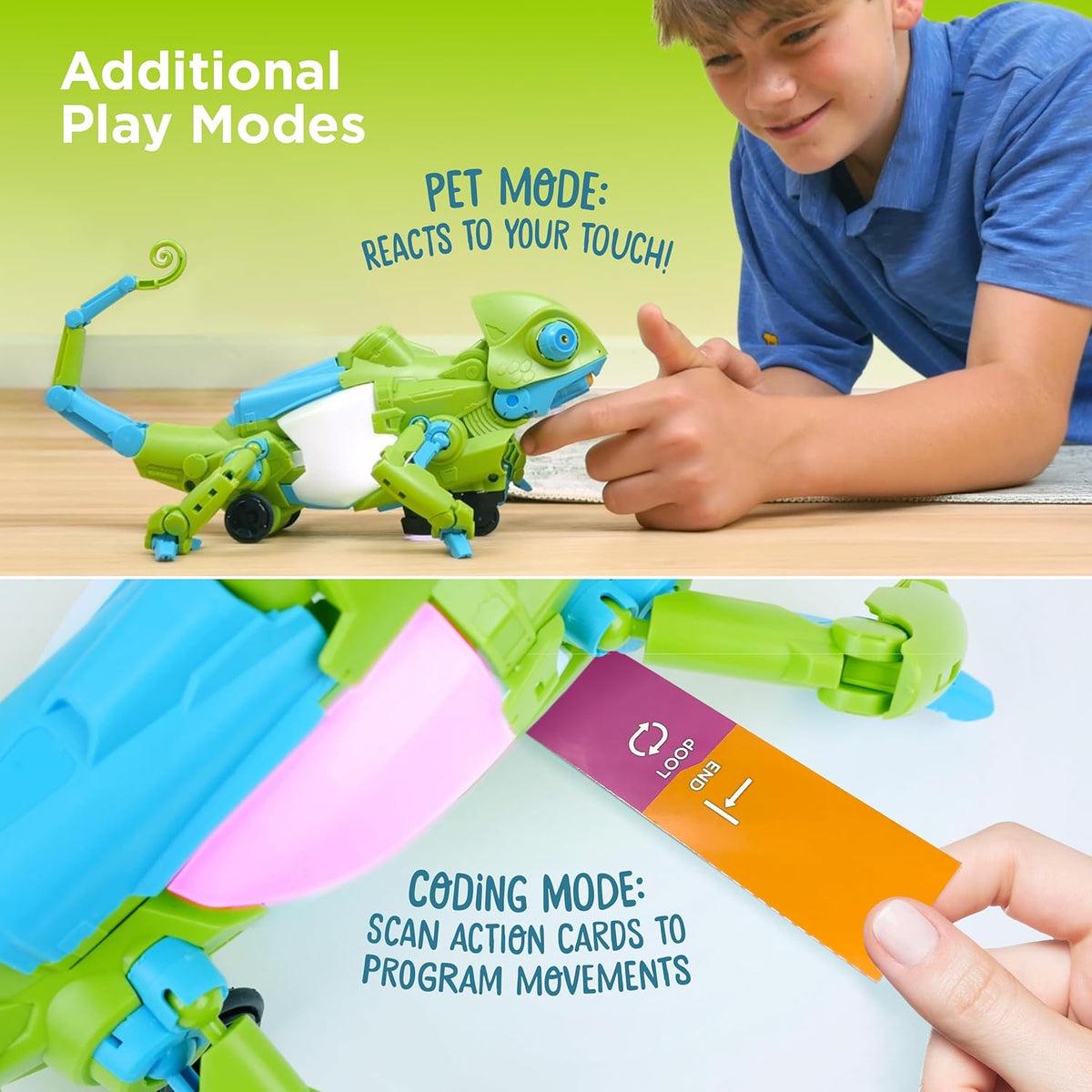 My Robotic Pet: Coding Chameleon
