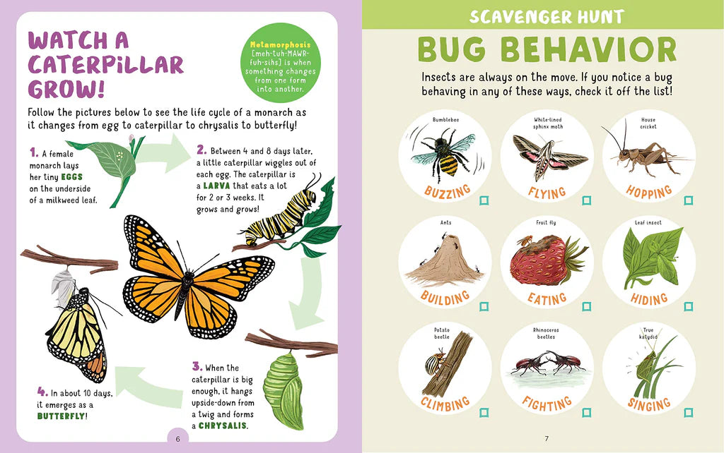 Backpack Explorer Bug Hunt