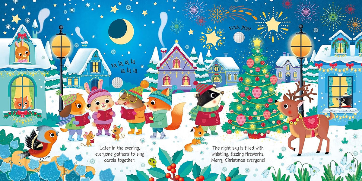 Usborne Sound Book Winter Wonderland