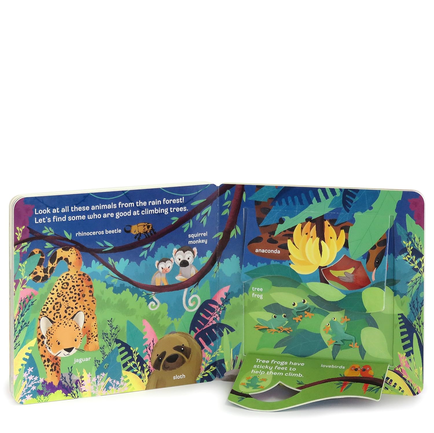 Jaye Garnett Zoo Lift-the-Flap Book
