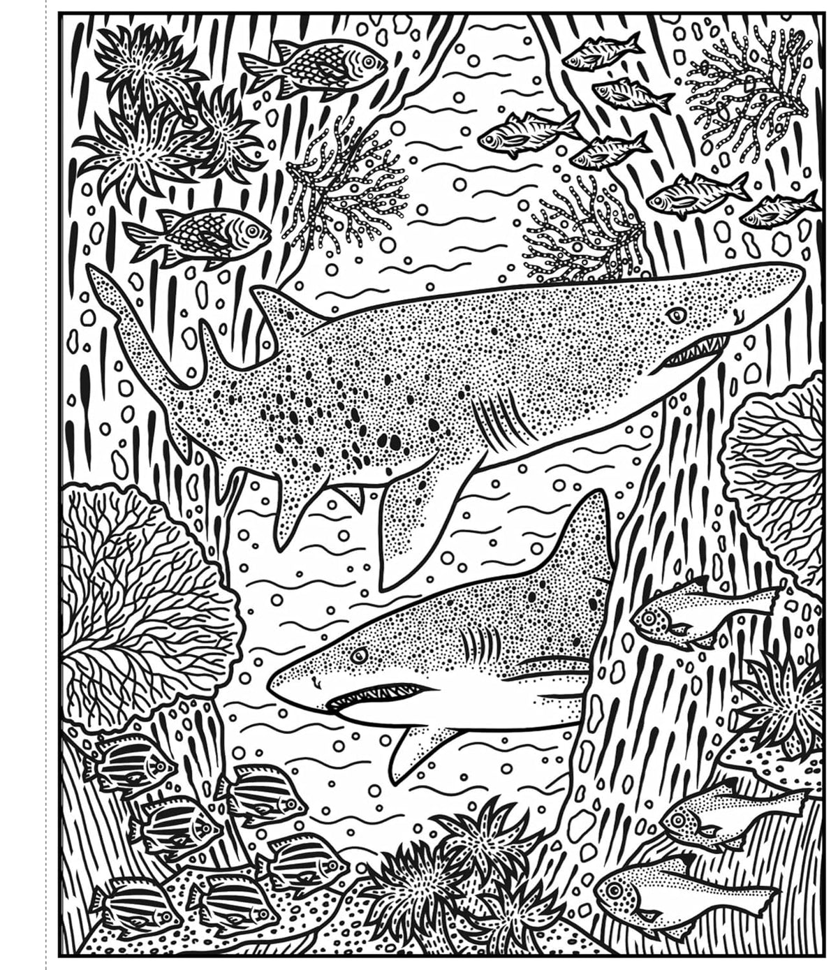 Usborne Sharks Magic Painting Book