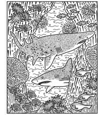 Usborne Sharks Magic Painting Book