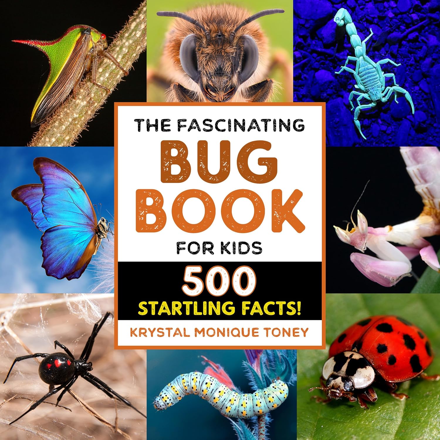 The Fascinating Bug Book for Kids -  500 Startling Facts!