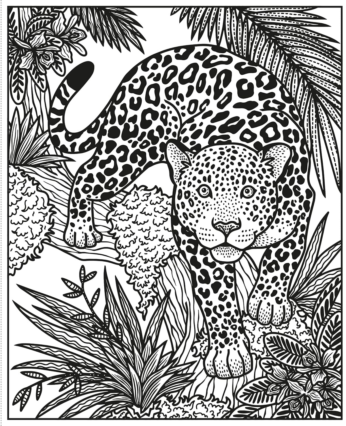 Usborne Wild Animals Magic Painting Book