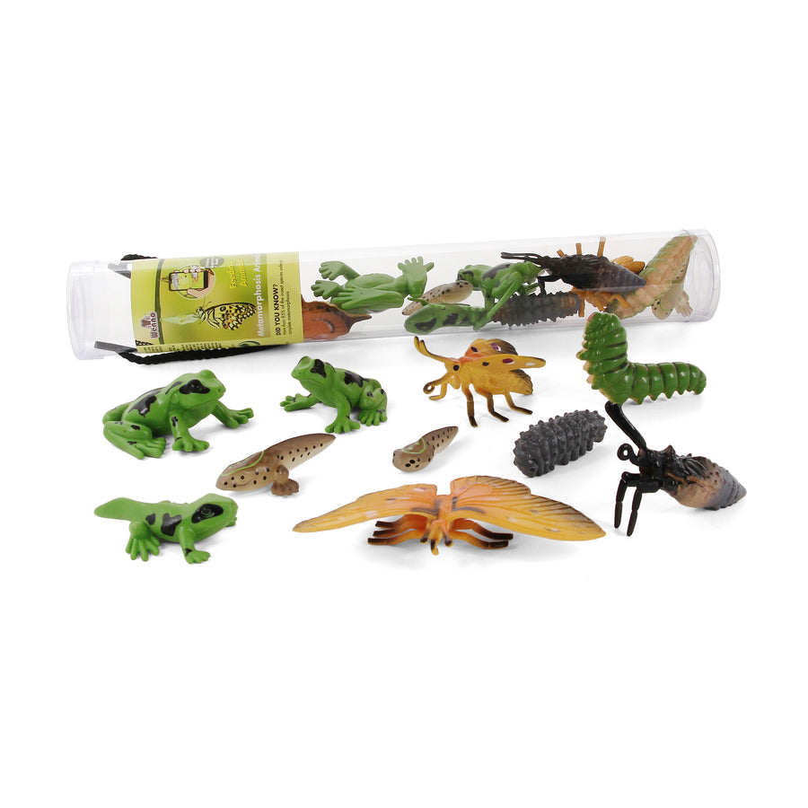 Animal Tubes  12" Metamorphosis 20 pieces