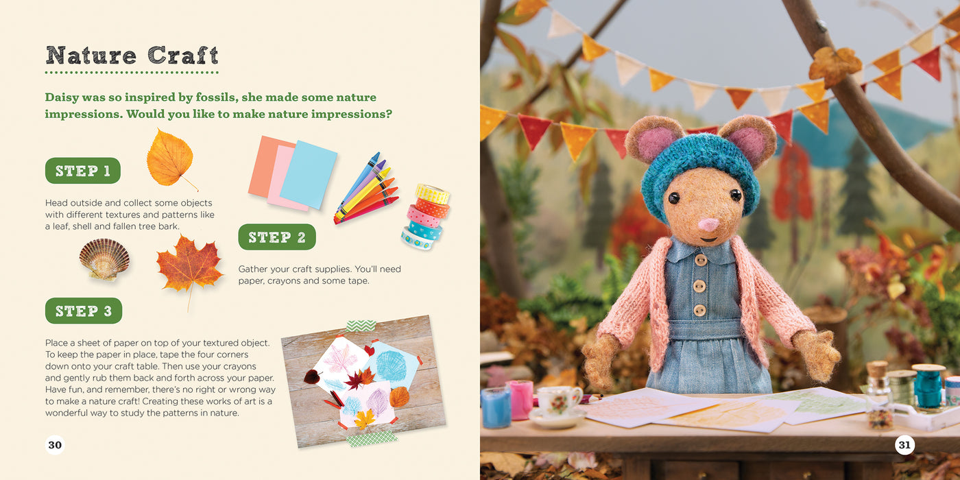 Case of the Story Rock : A Gumboot Kids Nature Mystery