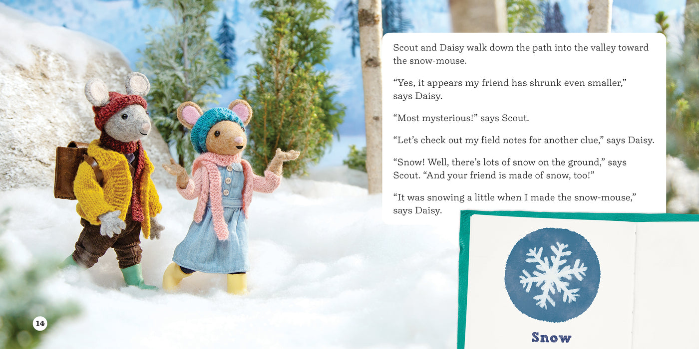 A Gumboot Kids Nature Mystery Case of the Shrinking Friend