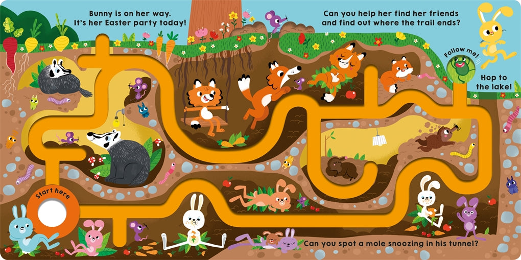 Priddy Books Follow The Bunny Finger Maze Book
