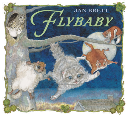 Fly Baby - Jan Brett