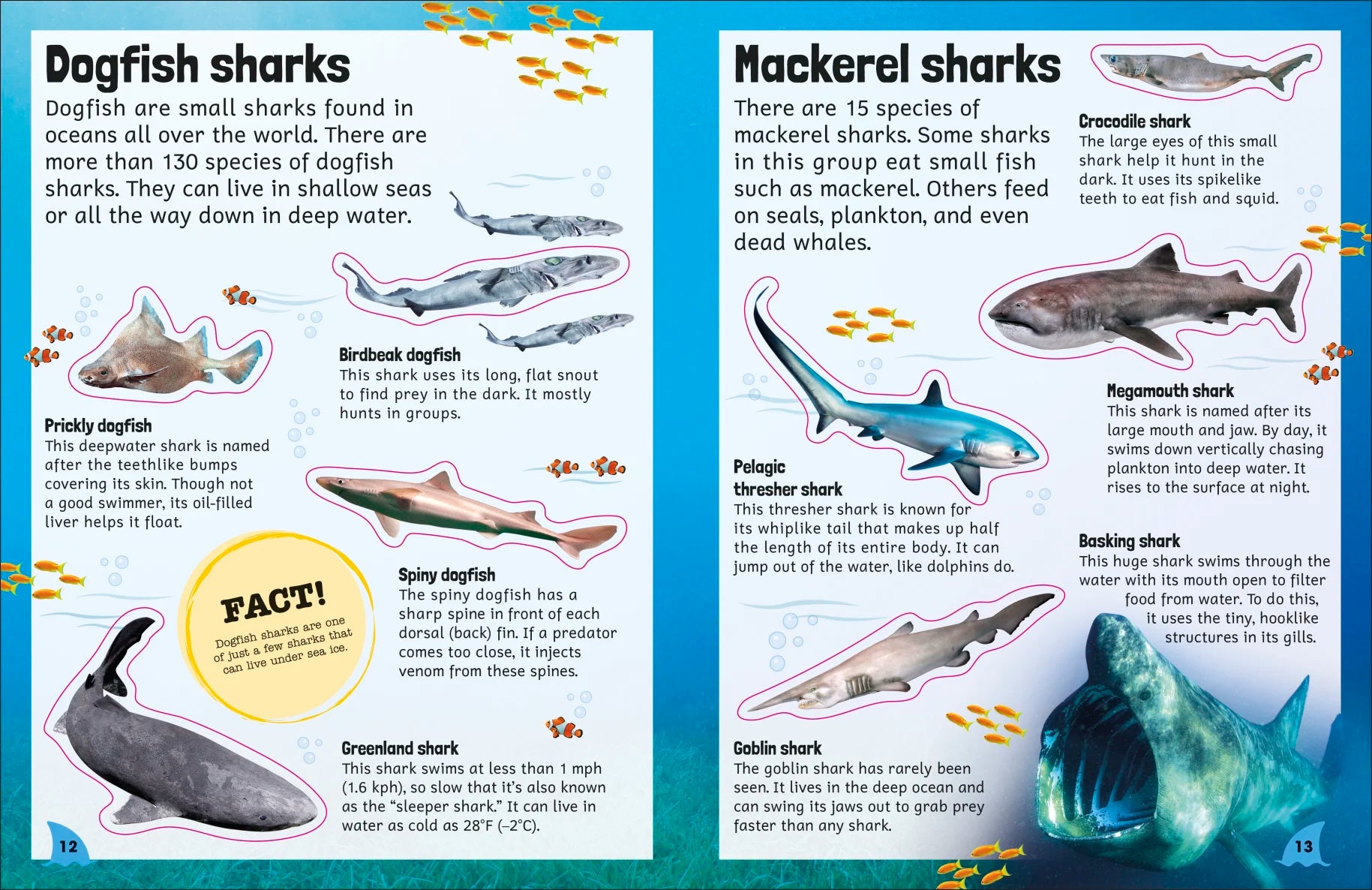 DK Sticker Encyclopedia Sharks