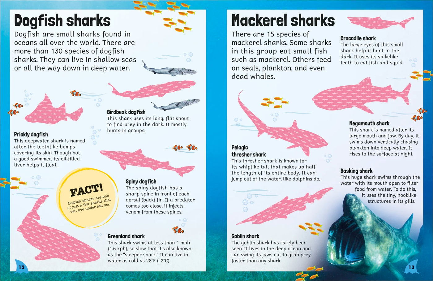 DK Sticker Encyclopedia Sharks