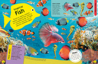 DK The Fact Packed Activity Book Sharks and Other Sea Creatures