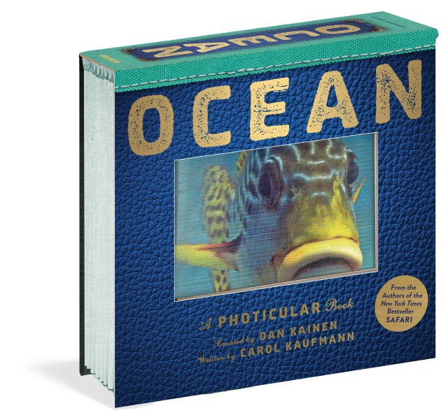 A Photicular Book Ocean