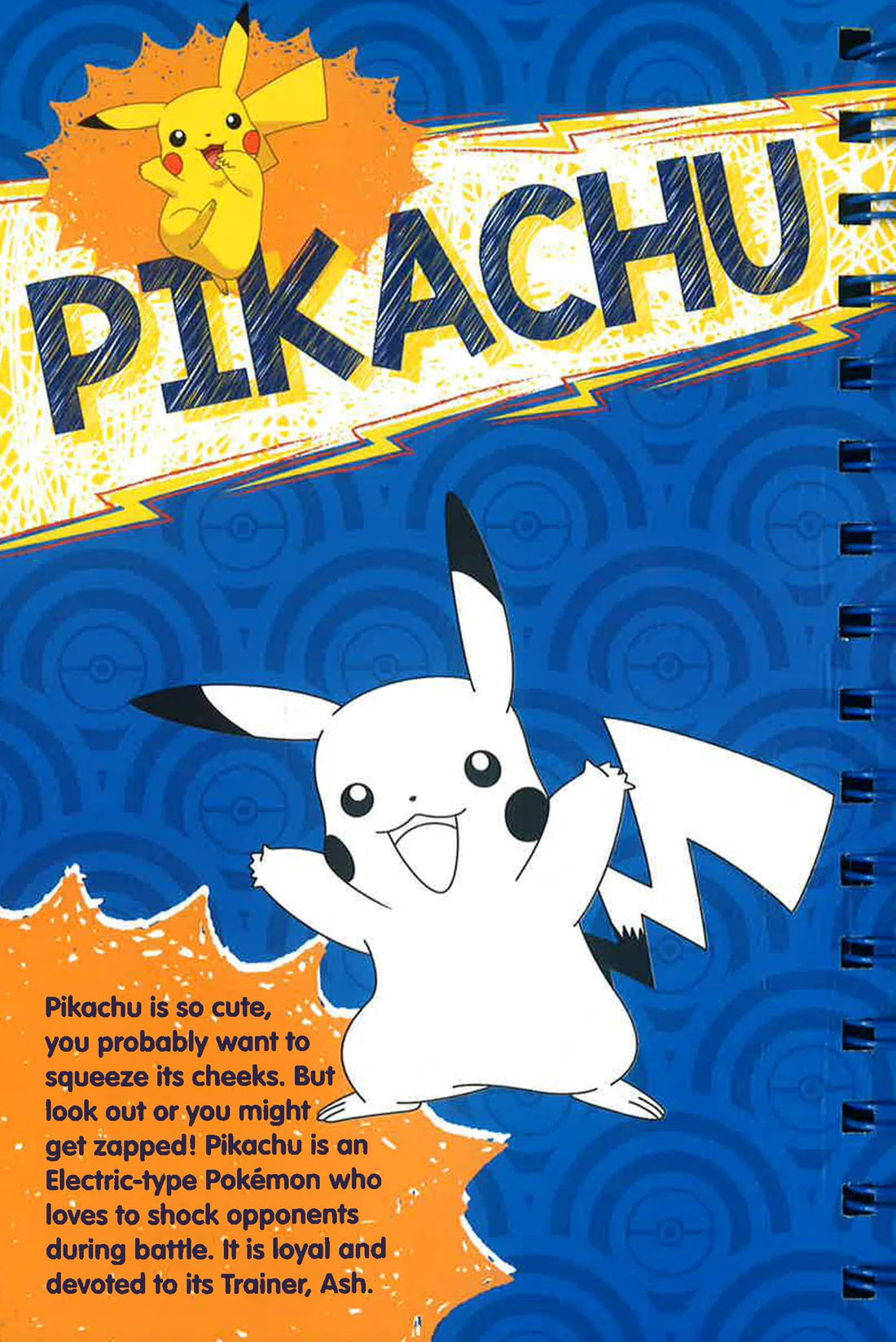 POKEMON The Ultimate Sketch Challenge