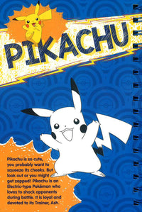 POKEMON The Ultimate Sketch Challenge