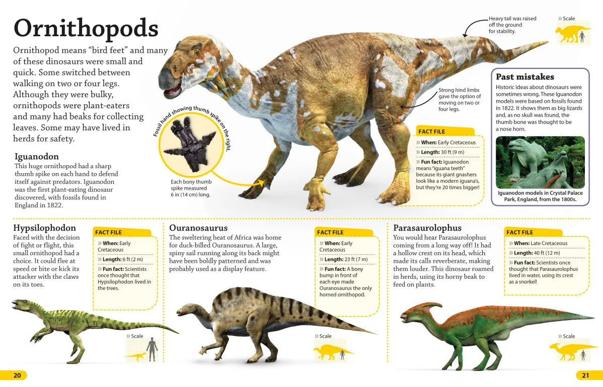 DK Find Out! Dinosaurs