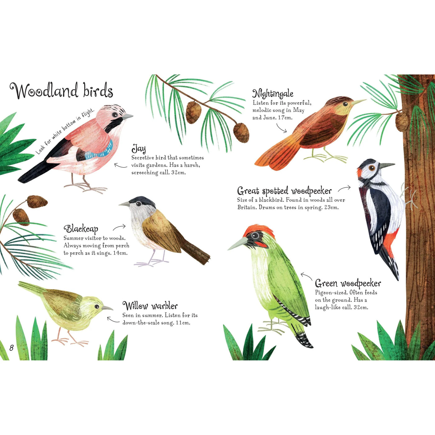 Usborne Minis Birds To Spot