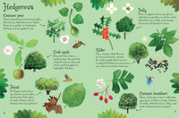 Usborne Minis Trees To Spot