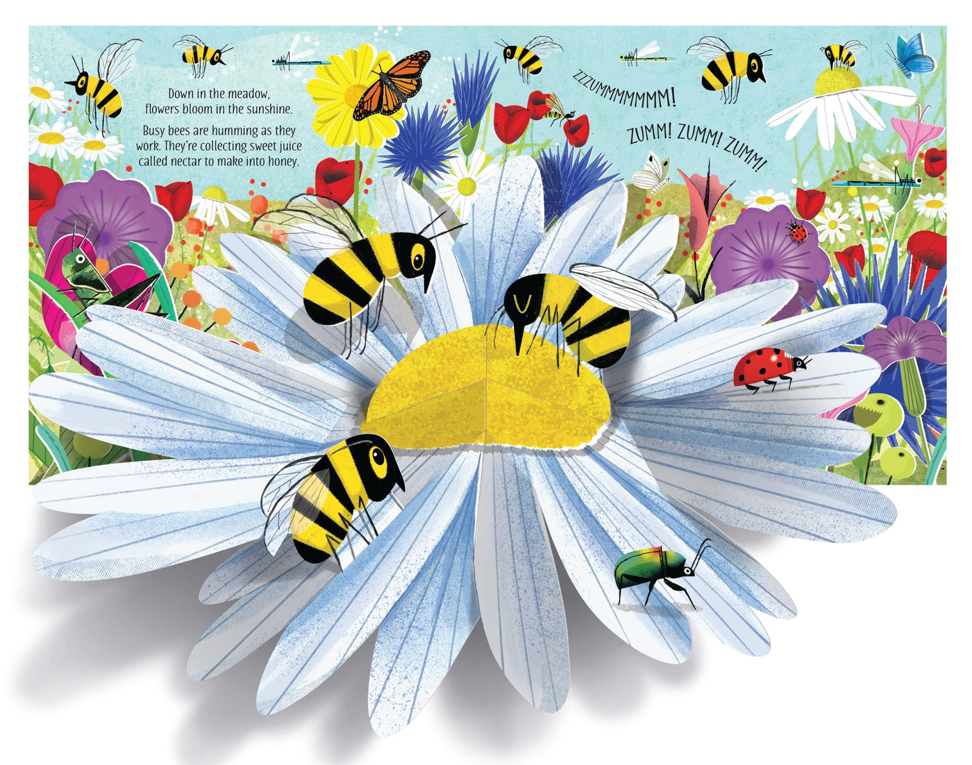 Usborne Pop up Nature