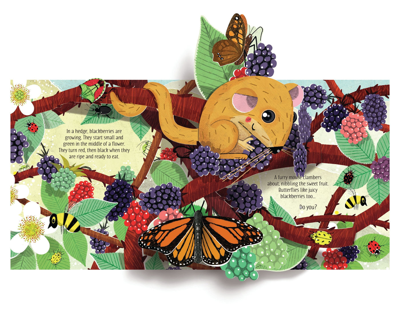 Usborne Pop up Nature