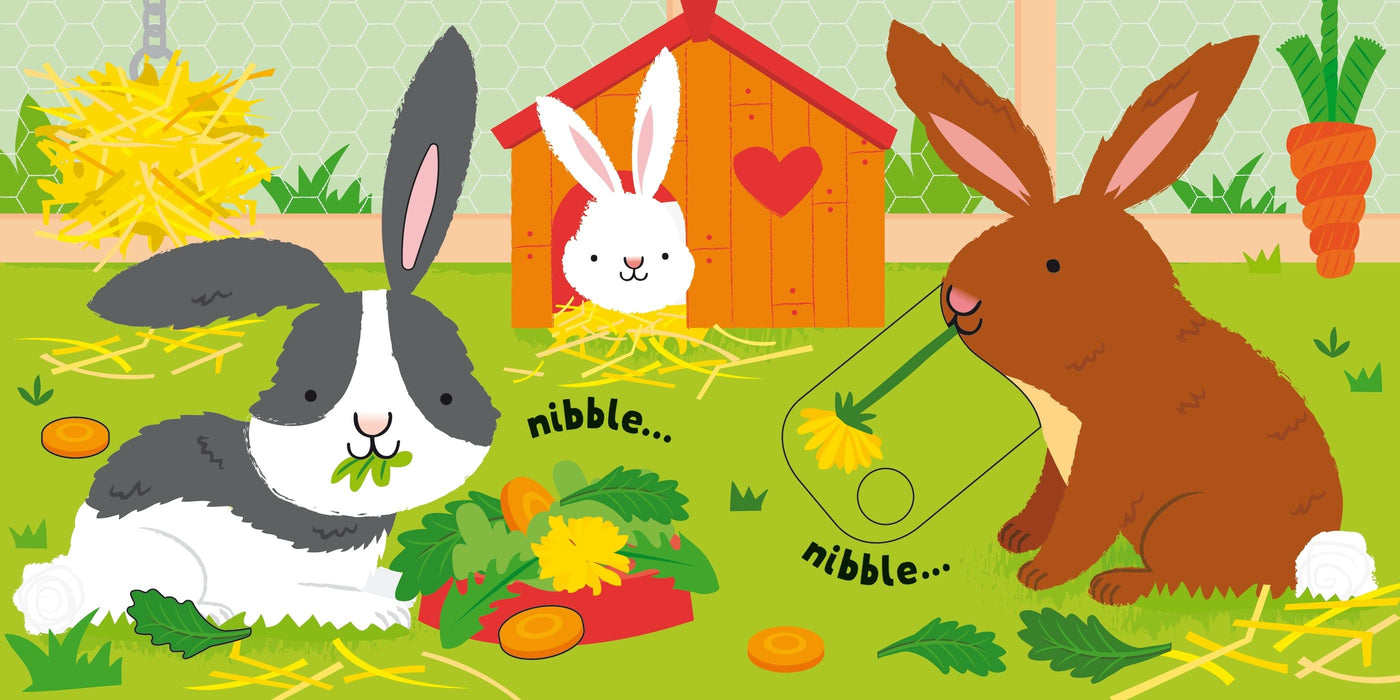 Usborne Very First Slide & See Pets