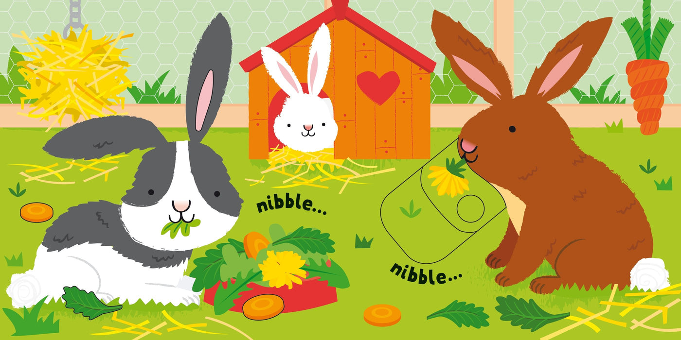 Usborne Very First Slide & See Pets