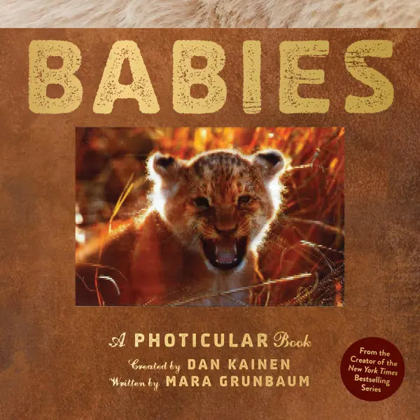 Babies A Photicular Book