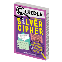 CLUEDLE The Silver Cipher - Book 3