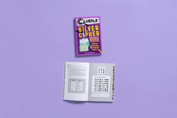 CLUEDLE The Silver Cipher - Book 3
