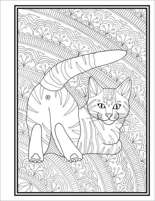 Butts, Bleps And Beans