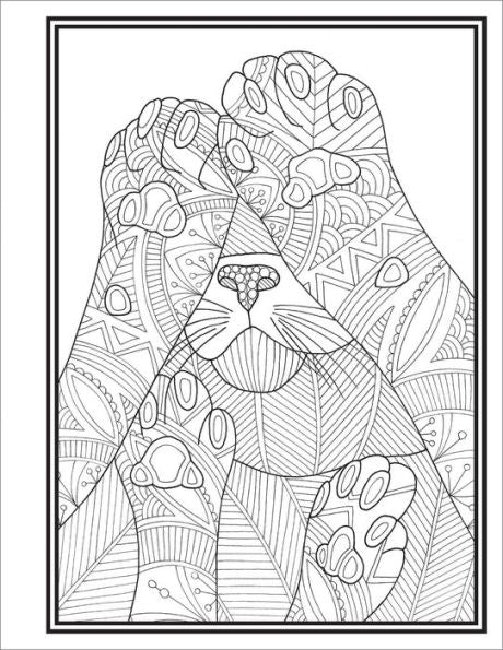 Butts, Bleps And Beans