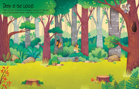 Usborne First Sticker Book Nature