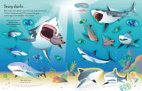 Usborne My First Sticker Book Sharks And Rays