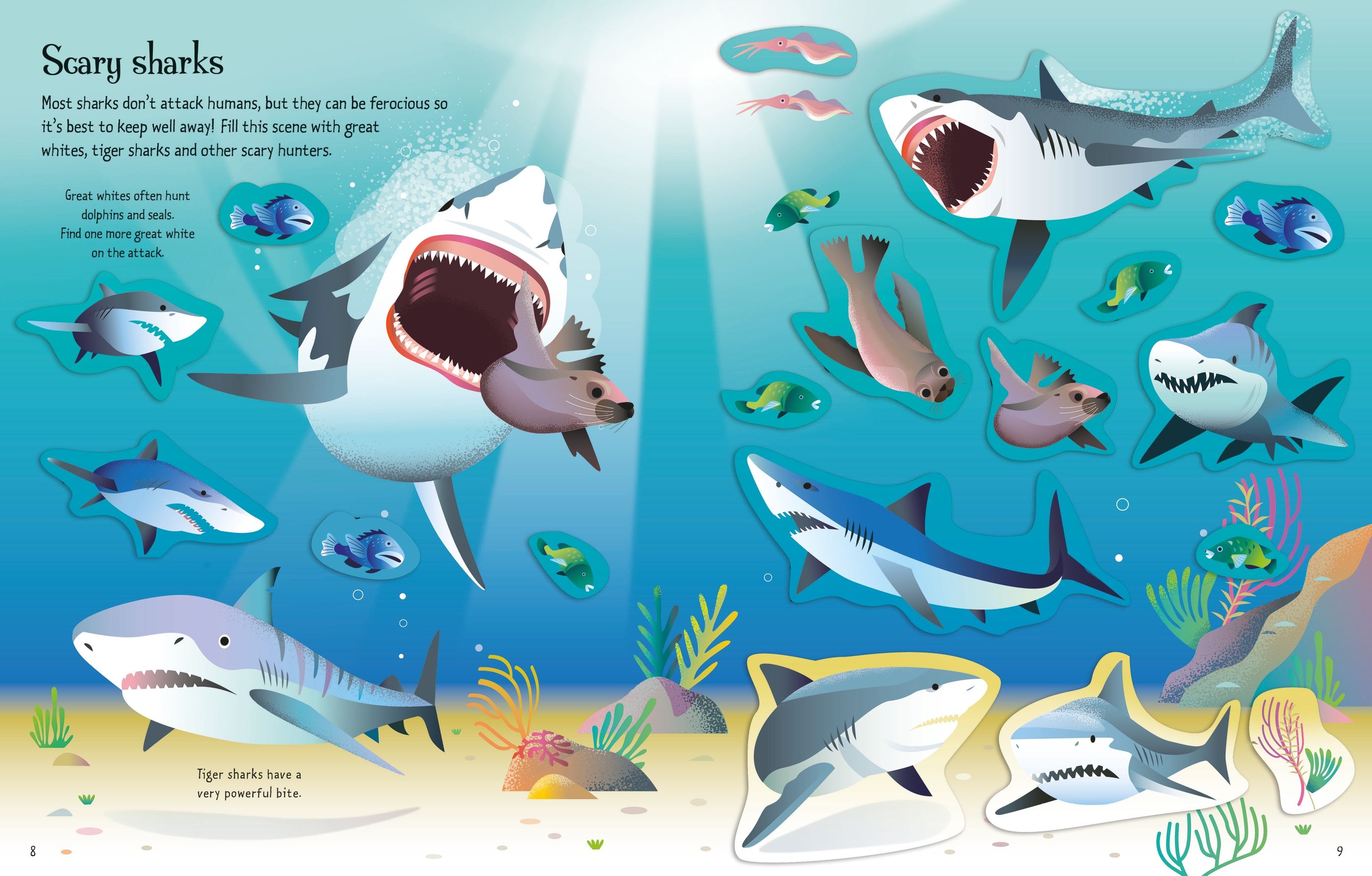 Usborne My First Sticker Book Sharks And Rays