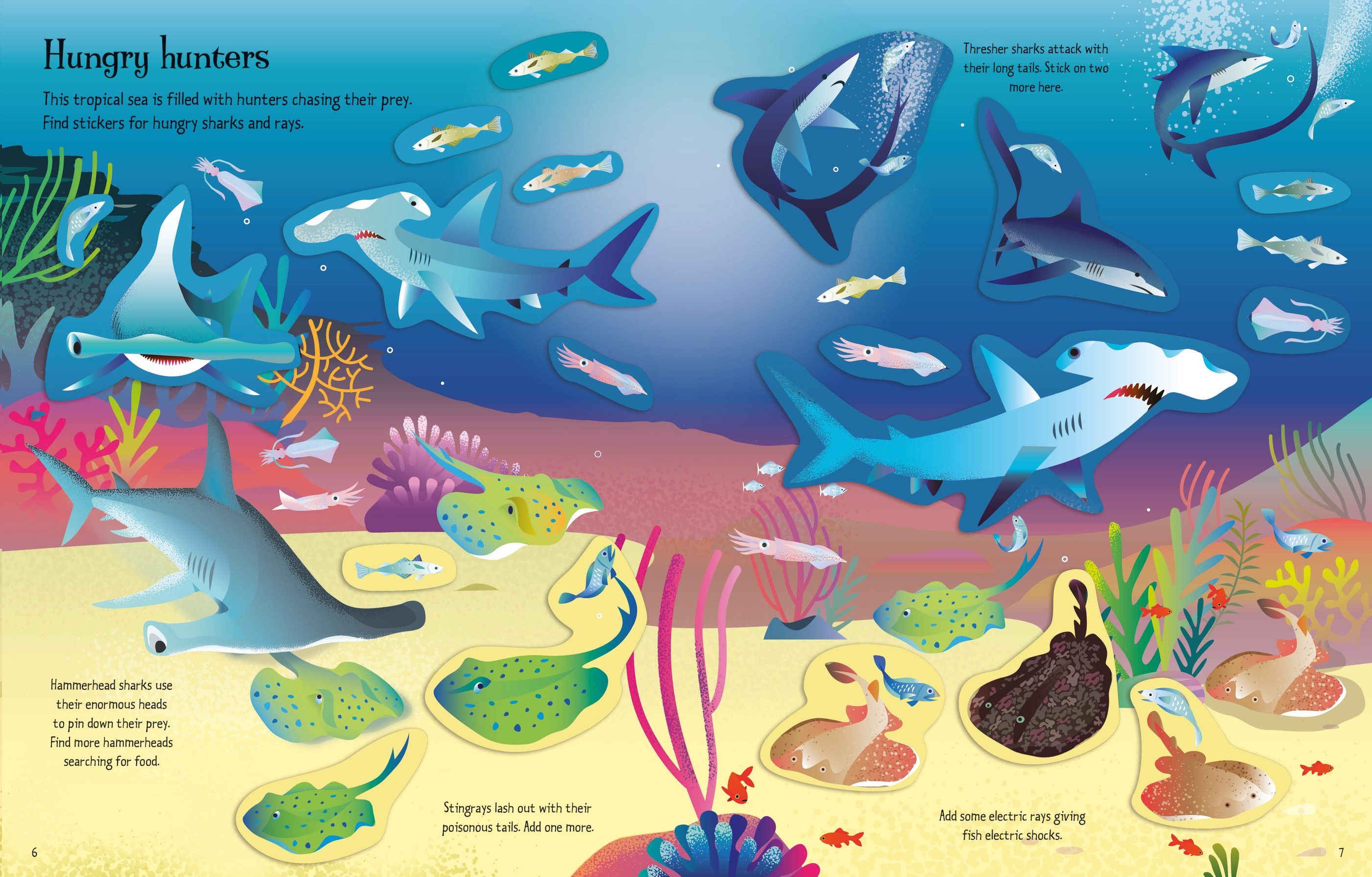 Usborne My First Sticker Book Sharks And Rays