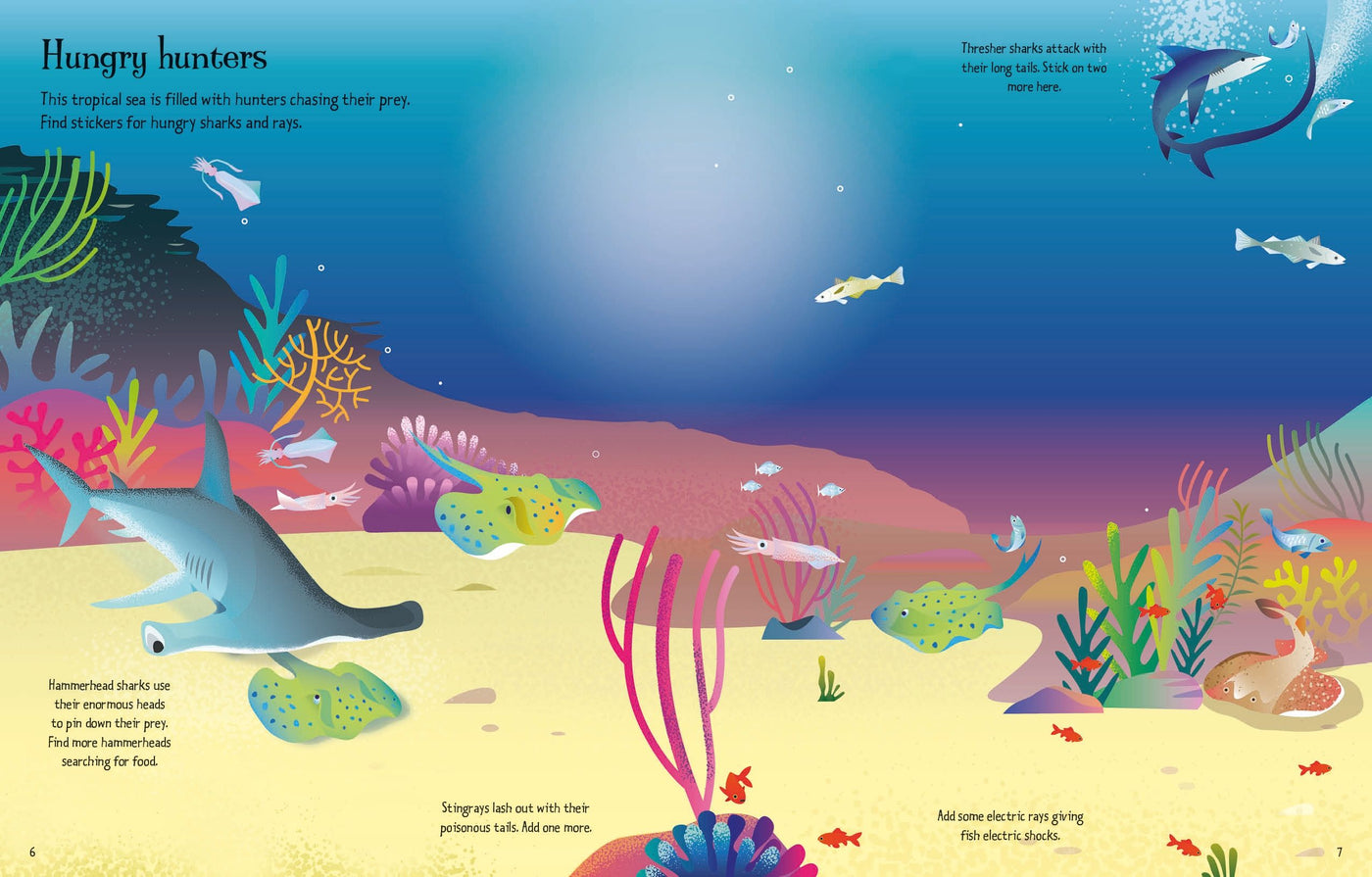 Usborne My First Sticker Book Sharks And Rays