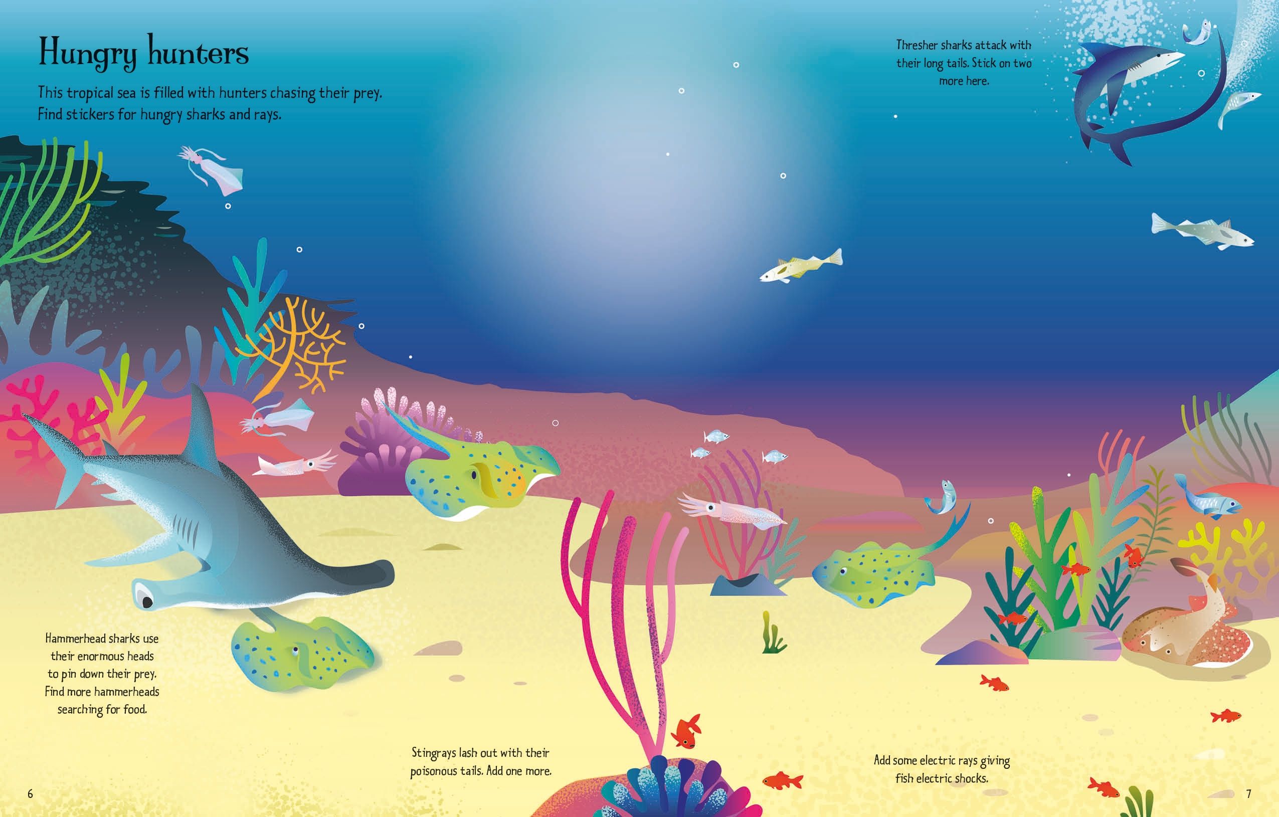 Usborne My First Sticker Book Sharks And Rays