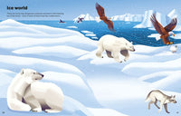 Usborne Big Sticker Book Deadly Animals