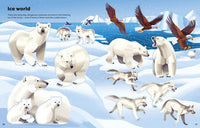 Usborne Big Sticker Book Deadly Animals