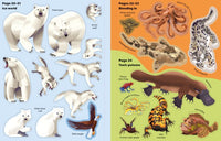 Usborne Big Sticker Book Deadly Animals
