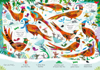 Usborne Can You Spot? Wintertime