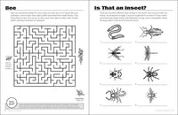 Beautiful Bugs Activity Book