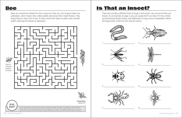 Beautiful Bugs Activity Book