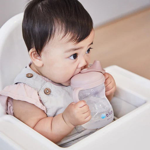 B.Box Blush Spout Cup