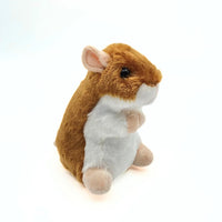 Douglas Brushy Hamster