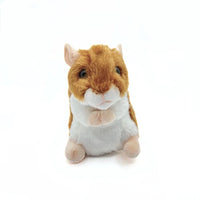 Douglas Brushy Hamster