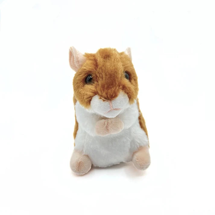 Douglas Brushy Hamster