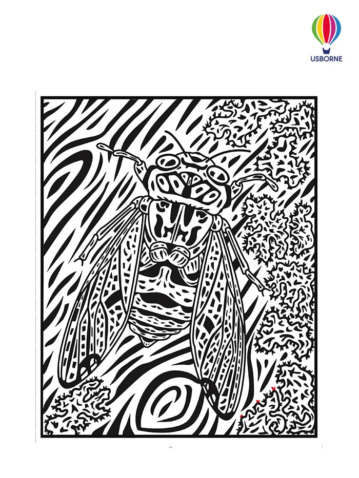 Usborne Magic Painting Book Bugs