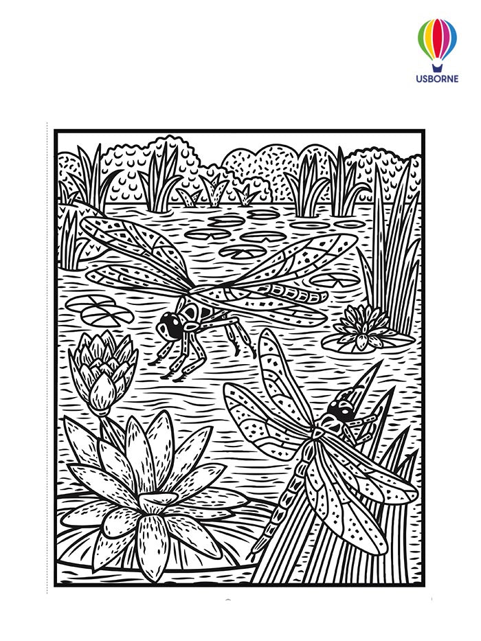 Usborne Magic Painting Book Bugs