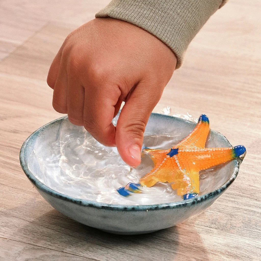 Schleich Wildlife Starfish ( Colour Change)